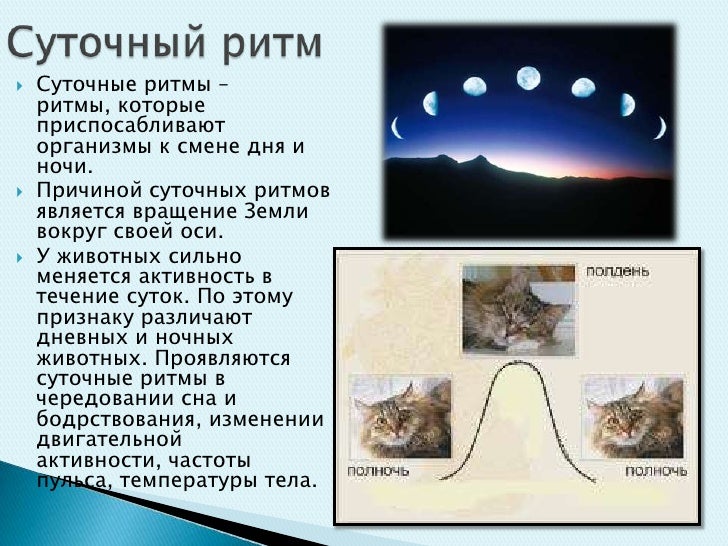 [PUNIQRANDLINE-(au-dating-names.txt) 57 Приспособительные ритмы жизни реферат 4448
